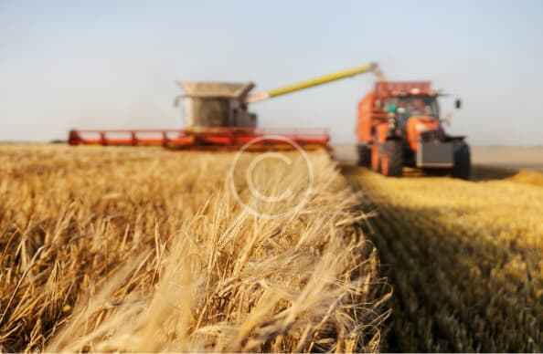 Agriculture Custom Img 11 Copyright